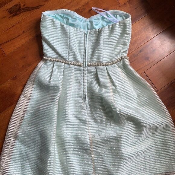 Beautiful Minuet dress - Picture 4 of 5